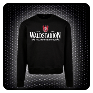 Image of SWBK Waldstadion
