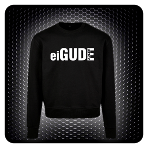 Image of SWBK eiGUDE Adler