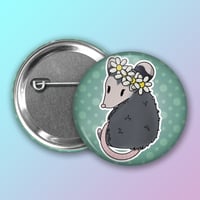 Image 2 of Trevor the Opossum