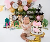 Image 3 of First Birthday (Cake Smash) Session $250.00 