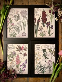 Witches Garden Set A4