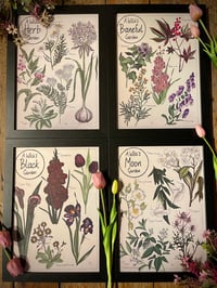 A Witches Garden Set A3
