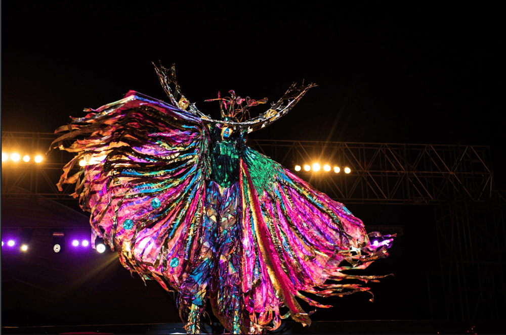 Image of The Peacock Becomes the Windows of the Universe - Two Faced Resistance Series