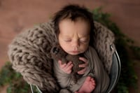 Image 2 of Petite Newborn Session | $475 Plus Tax