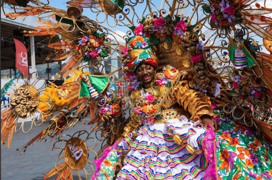 Image of Carnaval do Brazil: Two Faced Resistance Exhibit Series