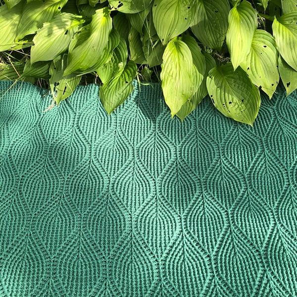 Image of Hosta blanket - english