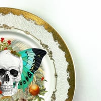 Image 3 of Skull N Wings - Fine China Plate - #0789