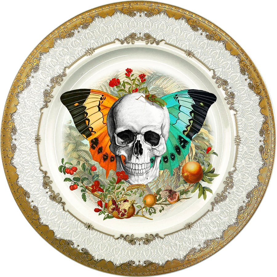 Image of Skull N Wings - Fine China Plate - #0789
