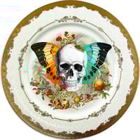 Image 1 of Skull N Wings - Large Fine China Plate - #0772