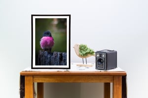 Image of Flying Forest Pink