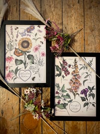 Baneful/Pollination A3 Set