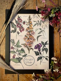 Baneful Plants A3