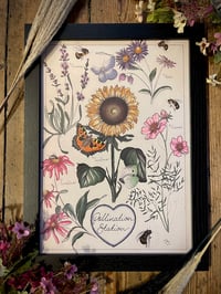 Pollination Station A3