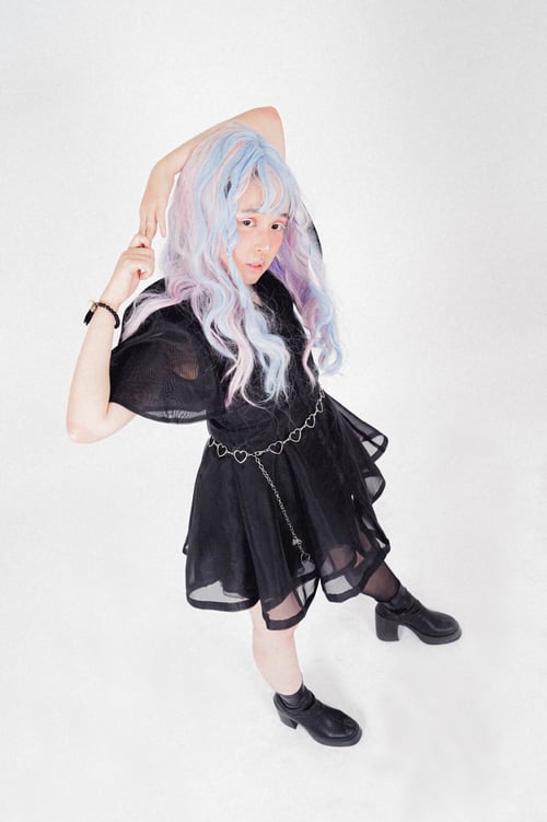 Image of Lilith Mesh Dress