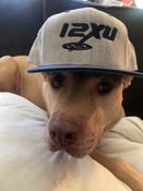 Image of 12XU baseball cap, cream & navy (Yupong Classics snapback)