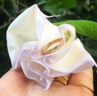 Diamond band for Bianca