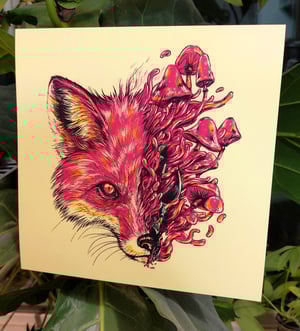 Fox In Bloom