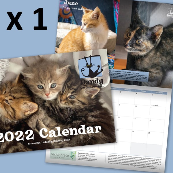 Image of 2022 Wall Calendar Inc. Postage