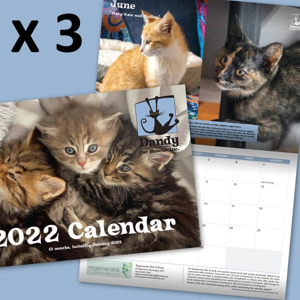 Image of Pack of 3 Wall Calendars Inc. Postage