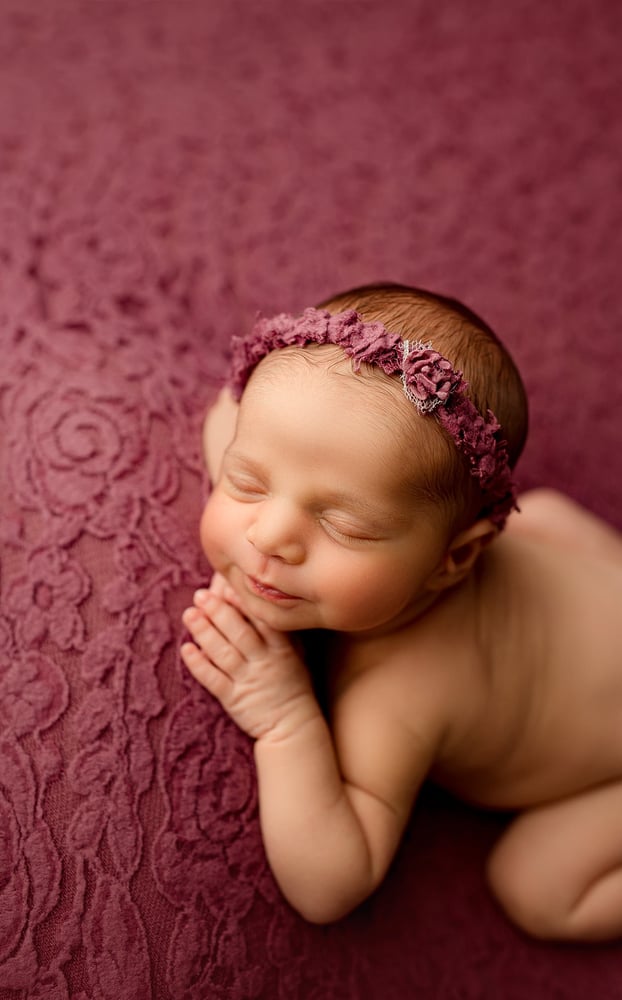 Image of Newborn Session Booking Fee