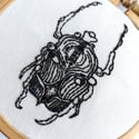 Flower Beetle Hand Embroidered Hoop Art - Betty's Delights