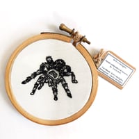 Image 1 of Tarantula Hand Embroidered Hoop Art - Betty's Delights