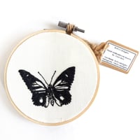 Image 1 of Birdwing Butterfly Hand Embroidered Hoop Art - Betty's Delights