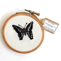 Image 1 of Graphium Butterfly Hand Embroidered Hoop Art - Betty's Delights