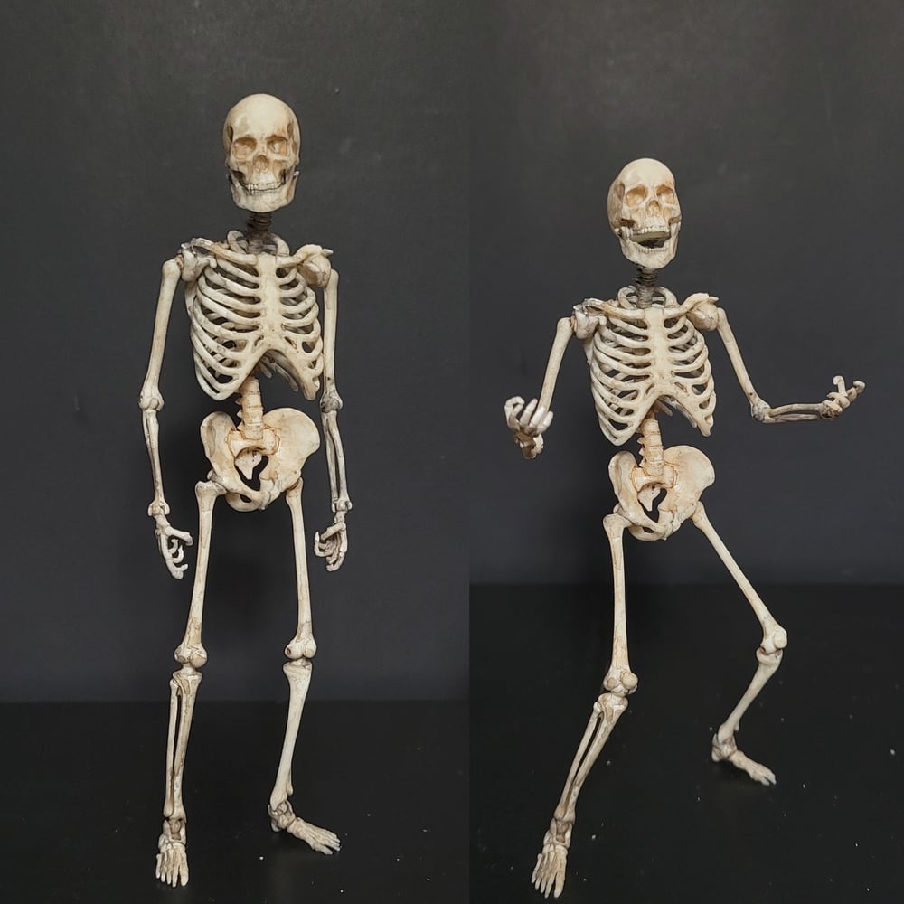 SKELETON 