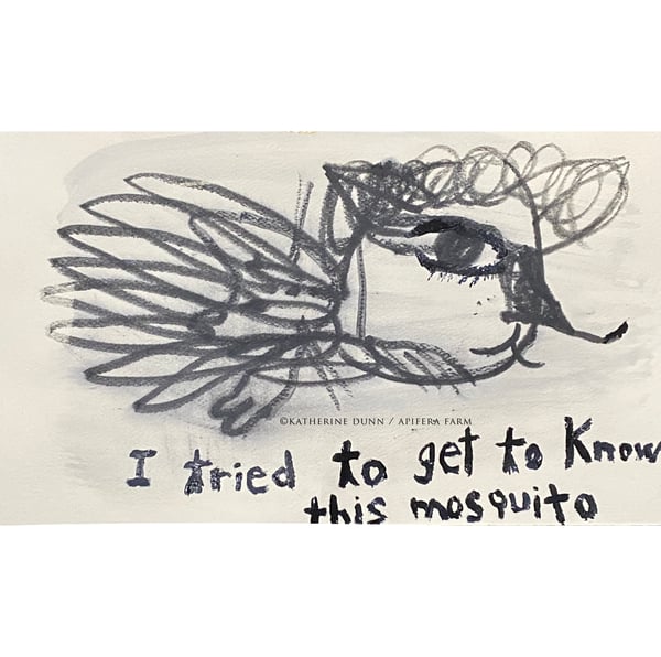 Image of Drawing: I Tried To Get To Know This Mosquito