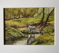 Image 2 of ‘Ewe and Lamb by the Beck’