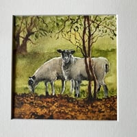 Image 2 of ‘Autumn Ewes’