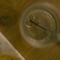 Image of STONE ring | size 9