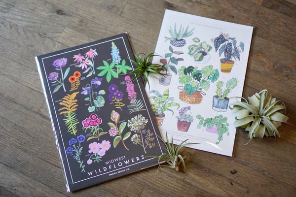 Image of Persika Design 11x17 Art Prints (Midwest Wildflowers and Plant Friends)