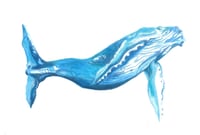 Humpback Whale Print 