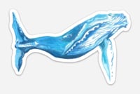 Humpback Whale Sticker
