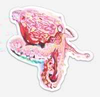 Gaint Pacific Octopus Sticker