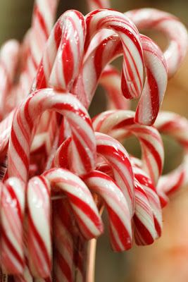 Image of Sweet Peppermint 