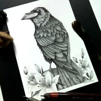 Image 3 of Watcher Of Lilies Raven 