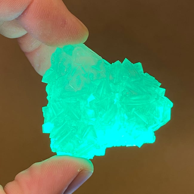 Fluorescent Glow Large Alum Crystal Kit
