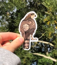 SparrowHawk Sticker