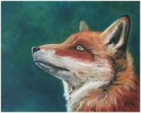 Image 1 of Fox