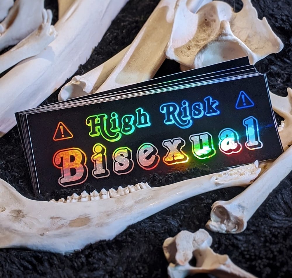 High Risk Bisexual Rainbow Holographic Sticker | Oakthorn Studios