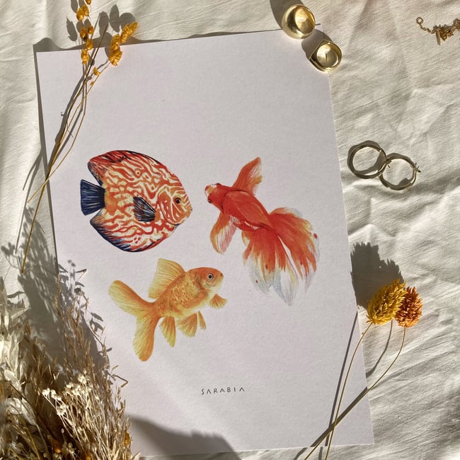 Lámina goldfish 2 