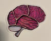 Pink brained glass sticker (clear background)