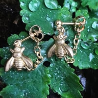 Image 1 of CHAÎNE INSECTORUM Earring
