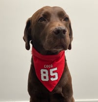 Image 3 of Football jersey personalised bandana 