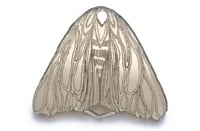 Image 3 of MOTH Brooch - Mirror or Black