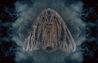Image 5 of MOTH Brooch - Mirror or Black