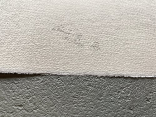 Image of Sequel Strokes 13 / Vincent De Boer